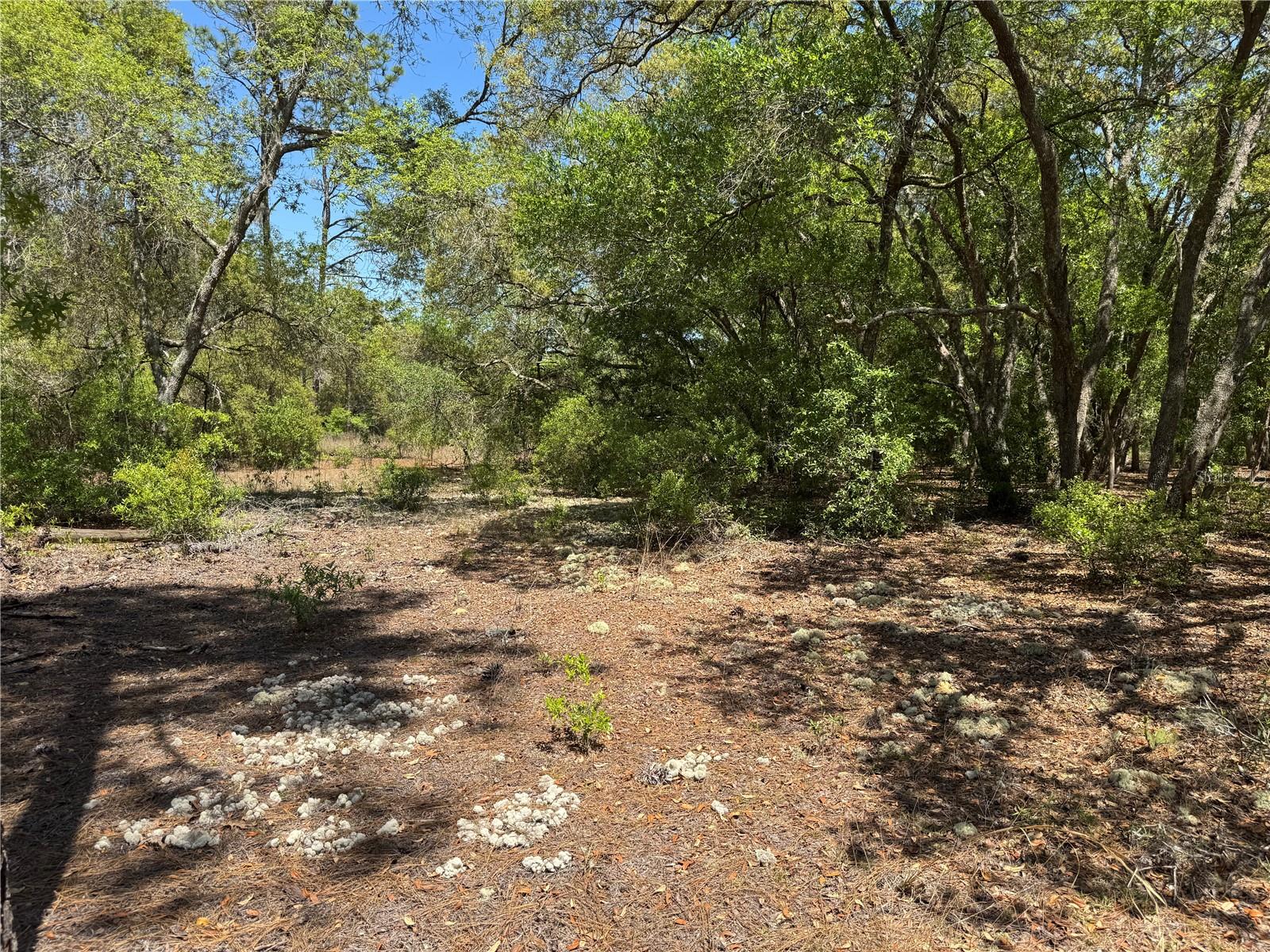 RAINBOW ACRES UNIT 3 - Land