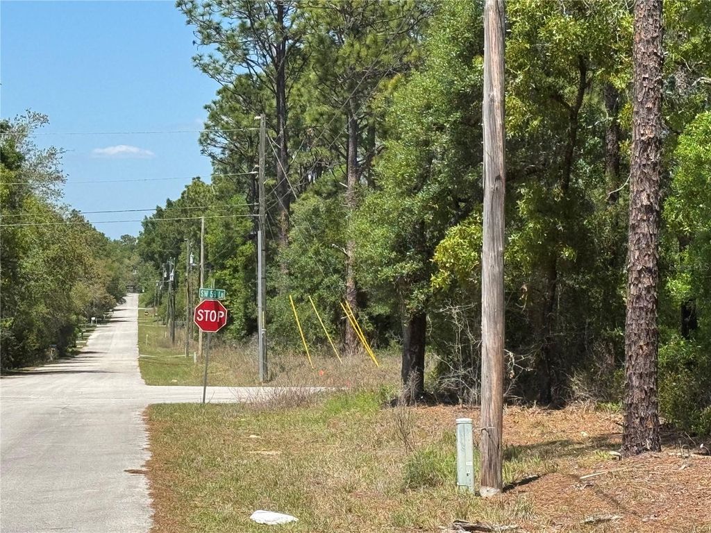 Photo of 2 SW 59th Lane, Dunnellon, FL 34431 (MLS # OM723007)
