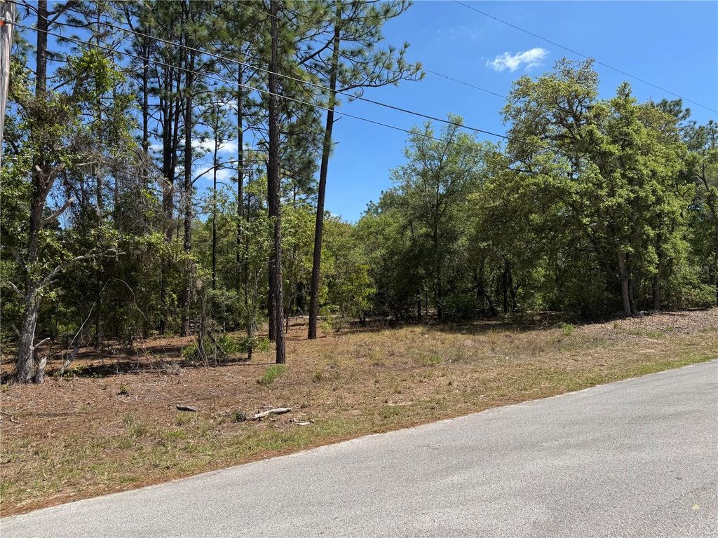 Photo of 2 SW 59th Lane, Dunnellon, FL 34431 (MLS # OM723007)
