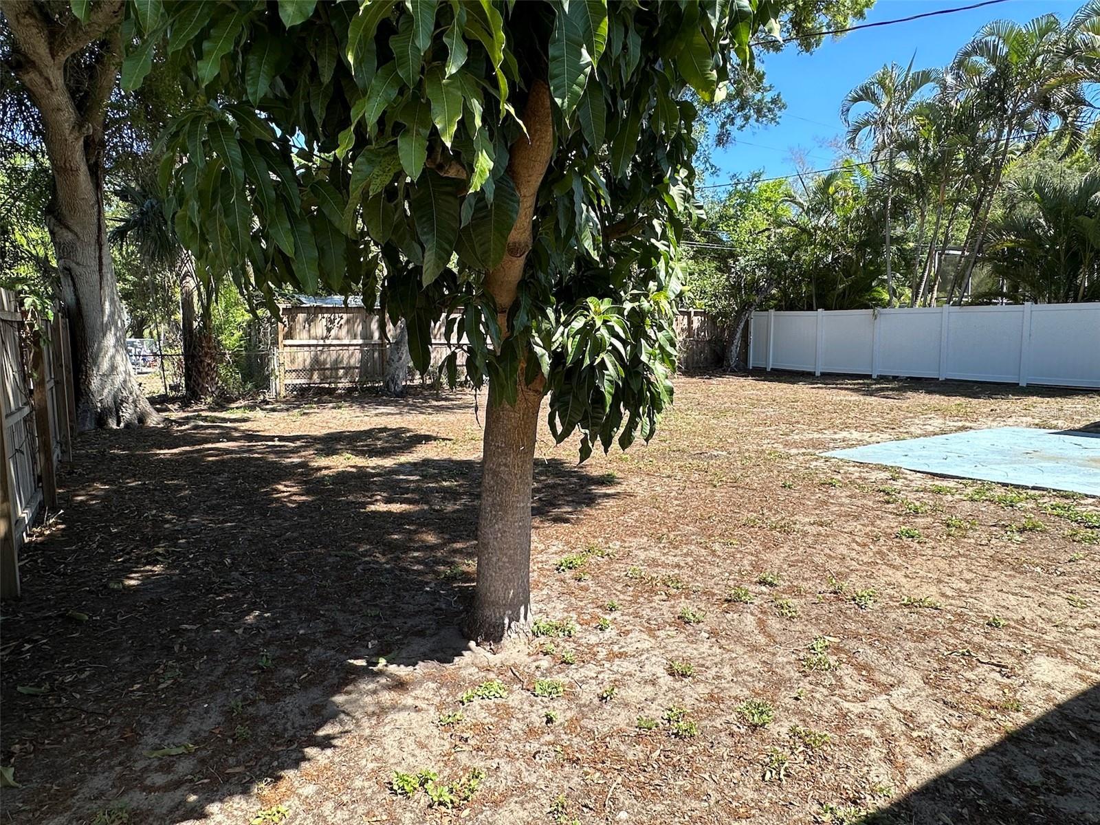 BETTY LANE HEIGHTS 2ND ADD - Residential