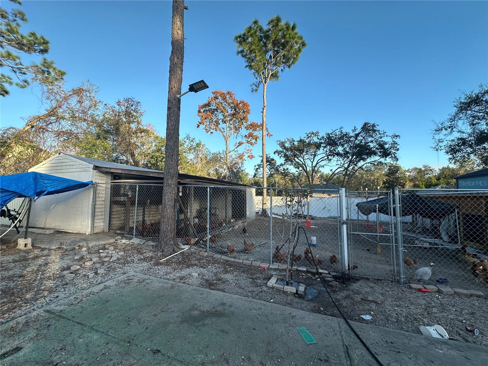 ROYAL HIGHLANDS - Residential