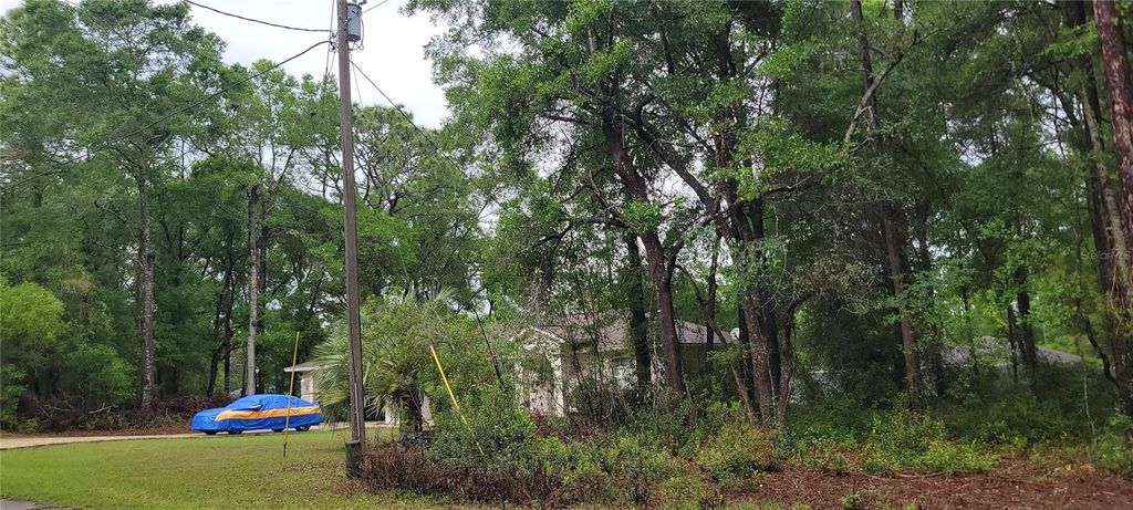 Photo of 9781 N Loretta Way, Citrus Springs, FL 34434 (MLS # OM723843)