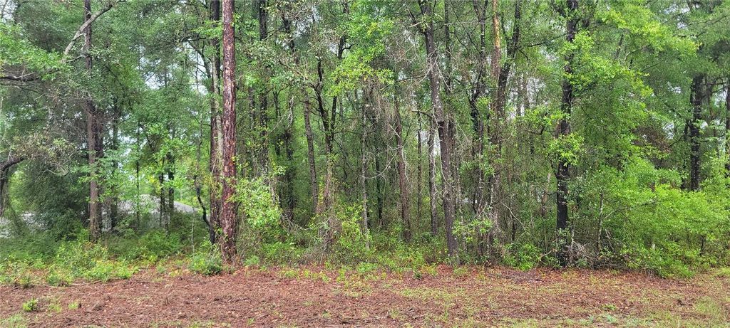 Photo of 9781 N Loretta Way, Citrus Springs, FL 34434 (MLS # OM723843)