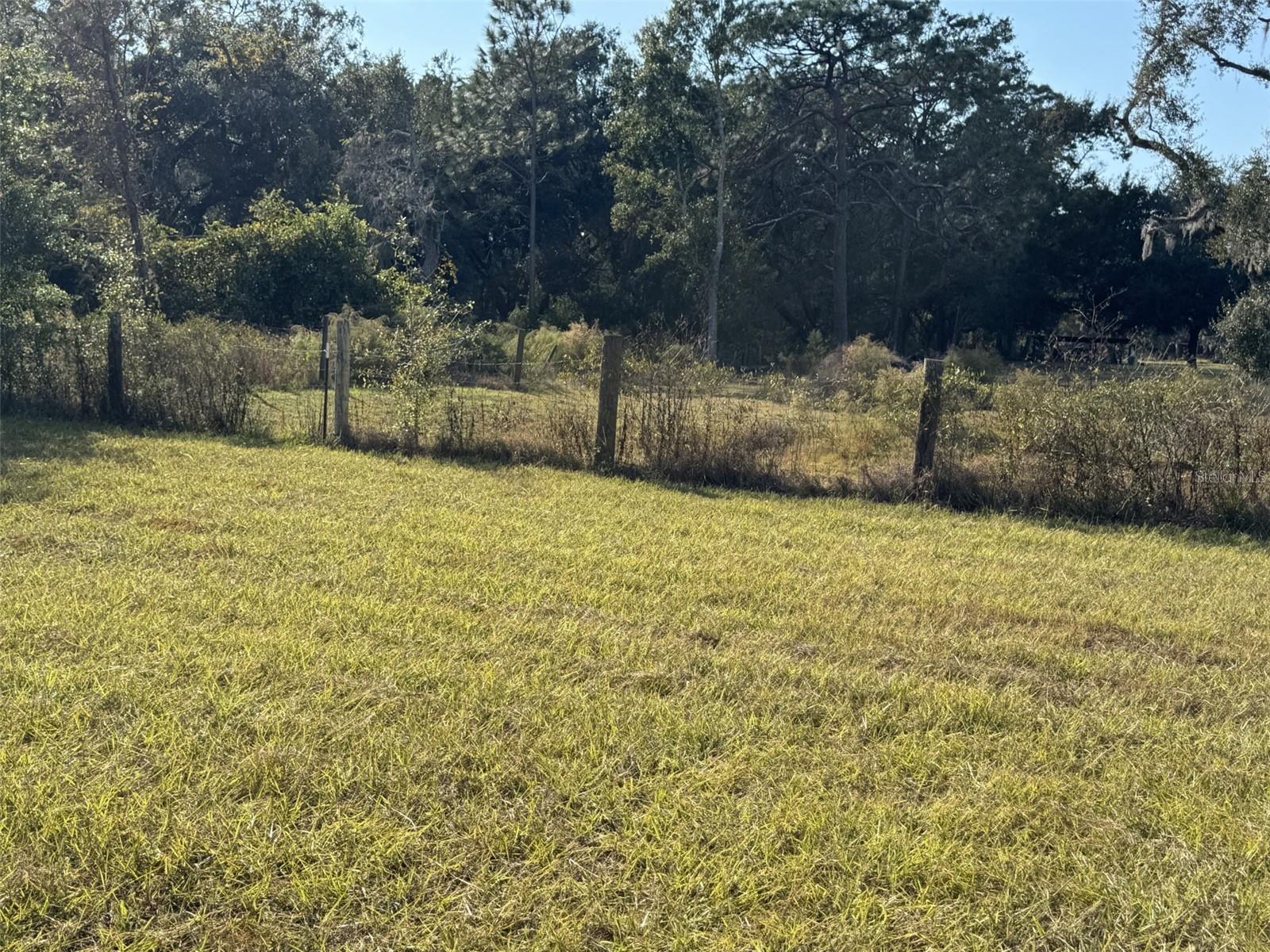ZEPHYRHILLS COLONY COMPANY LANDS - Residential