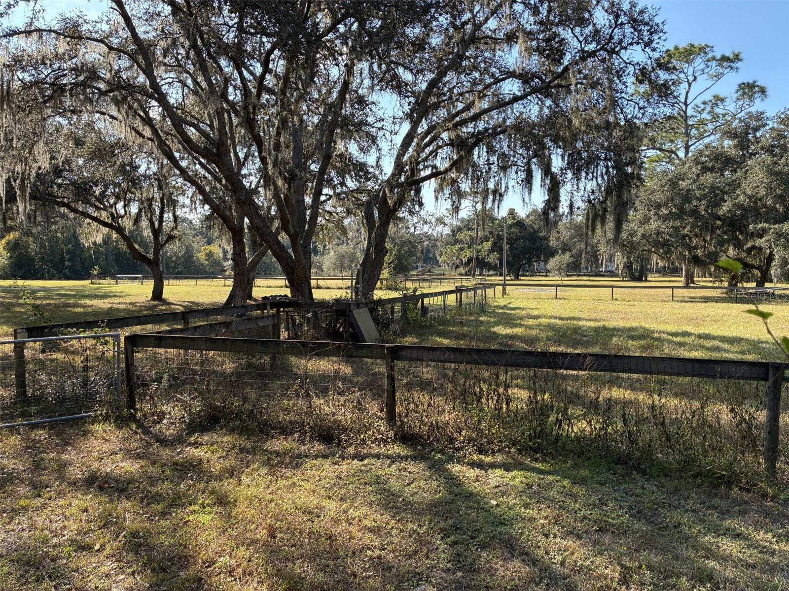 ZEPHYRHILLS COLONY COMPANY LANDS - Residential