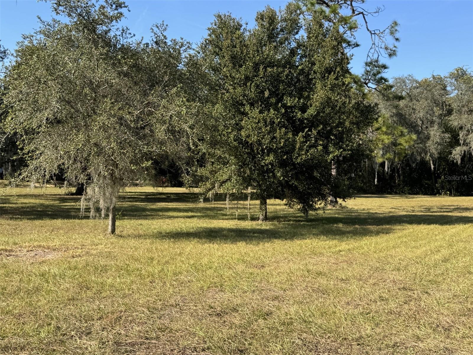 ZEPHYRHILLS COLONY COMPANY LANDS - Residential