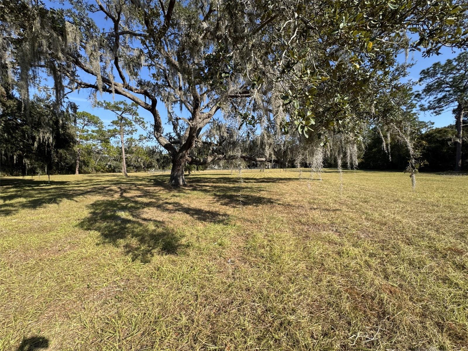 ZEPHYRHILLS COLONY COMPANY LANDS - Residential