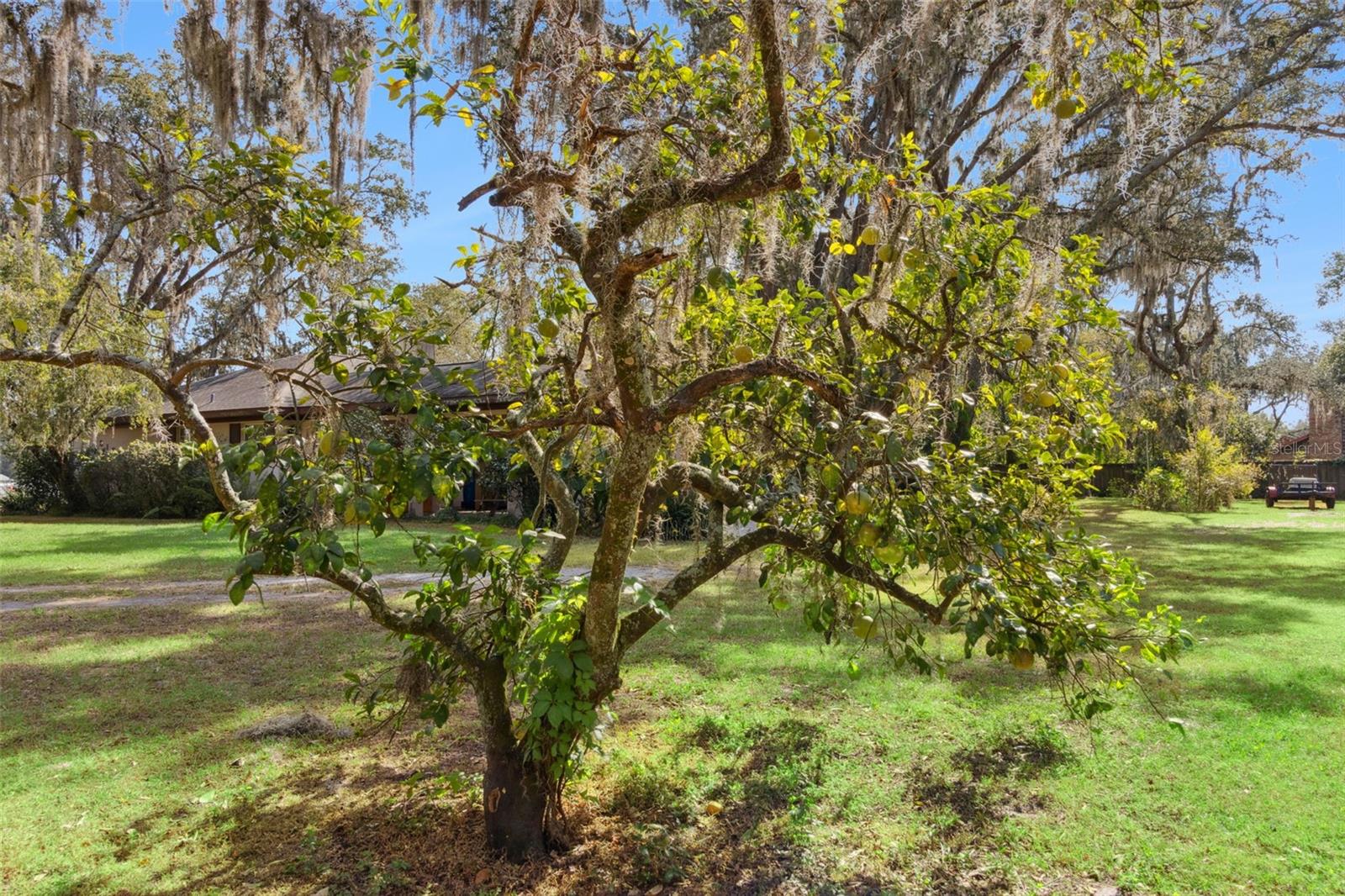 ZEPHYRHILLS COLONY COMPANY LANDS - Residential