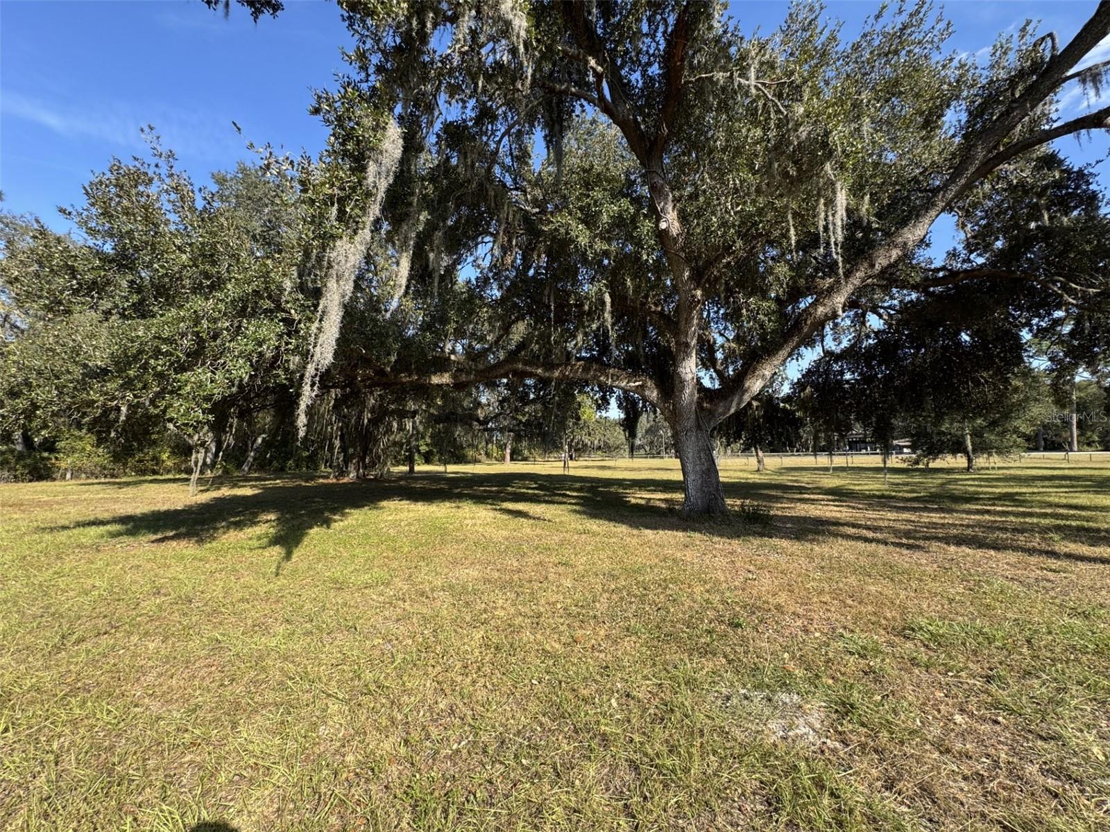 ZEPHYRHILLS COLONY COMPANY LANDS - Residential