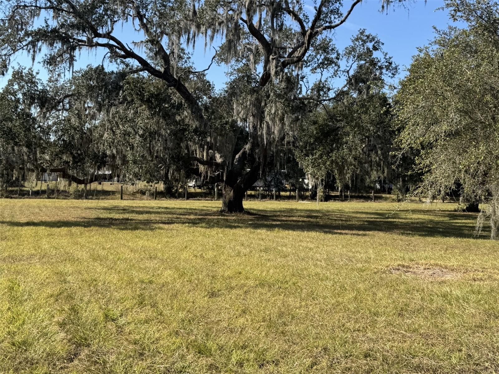 ZEPHYRHILLS COLONY COMPANY LANDS - Residential
