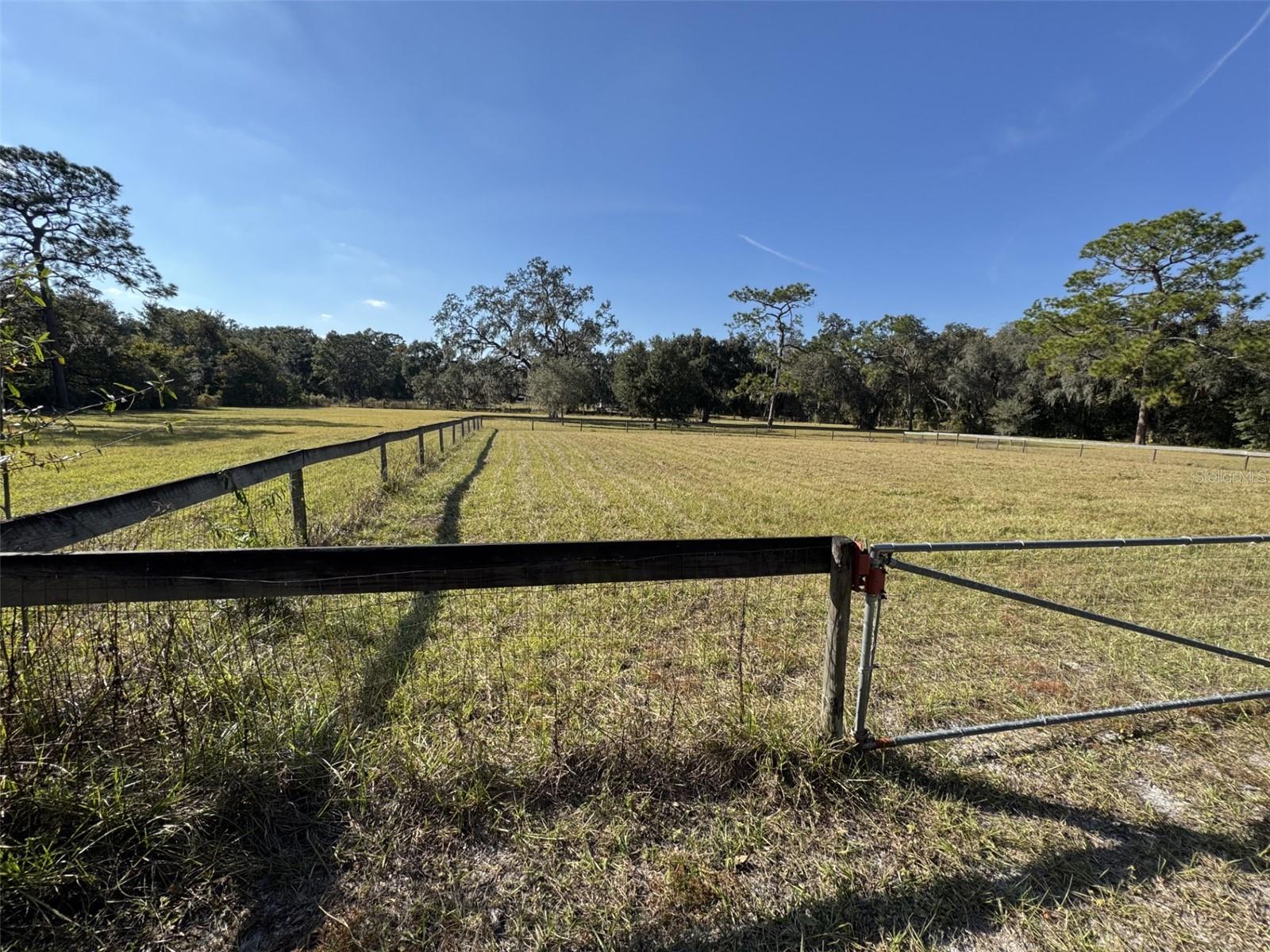 ZEPHYRHILLS COLONY COMPANY LANDS - Residential