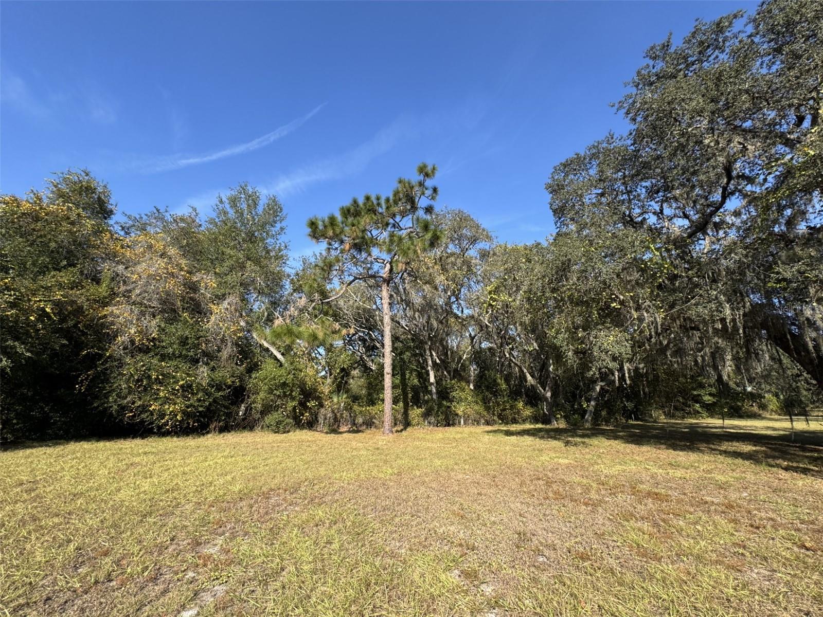 ZEPHYRHILLS COLONY COMPANY LANDS - Residential
