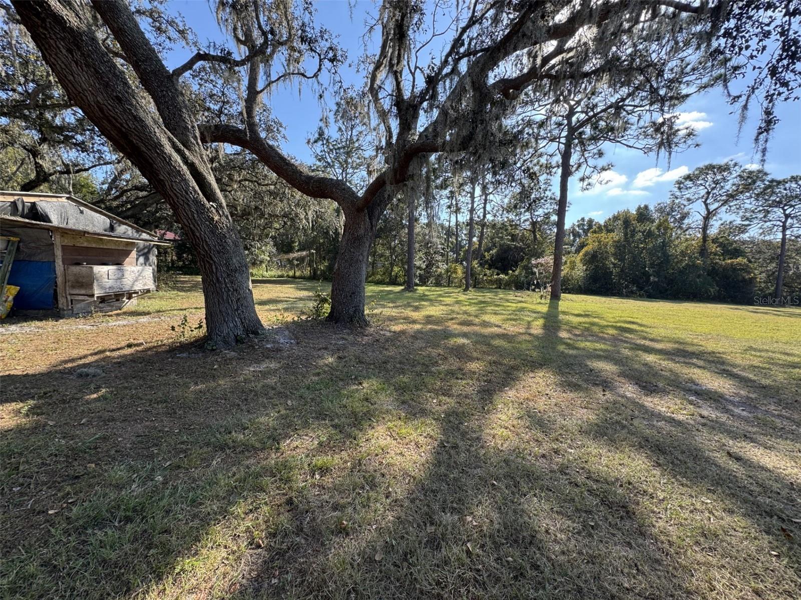 ZEPHYRHILLS COLONY COMPANY LANDS - Residential