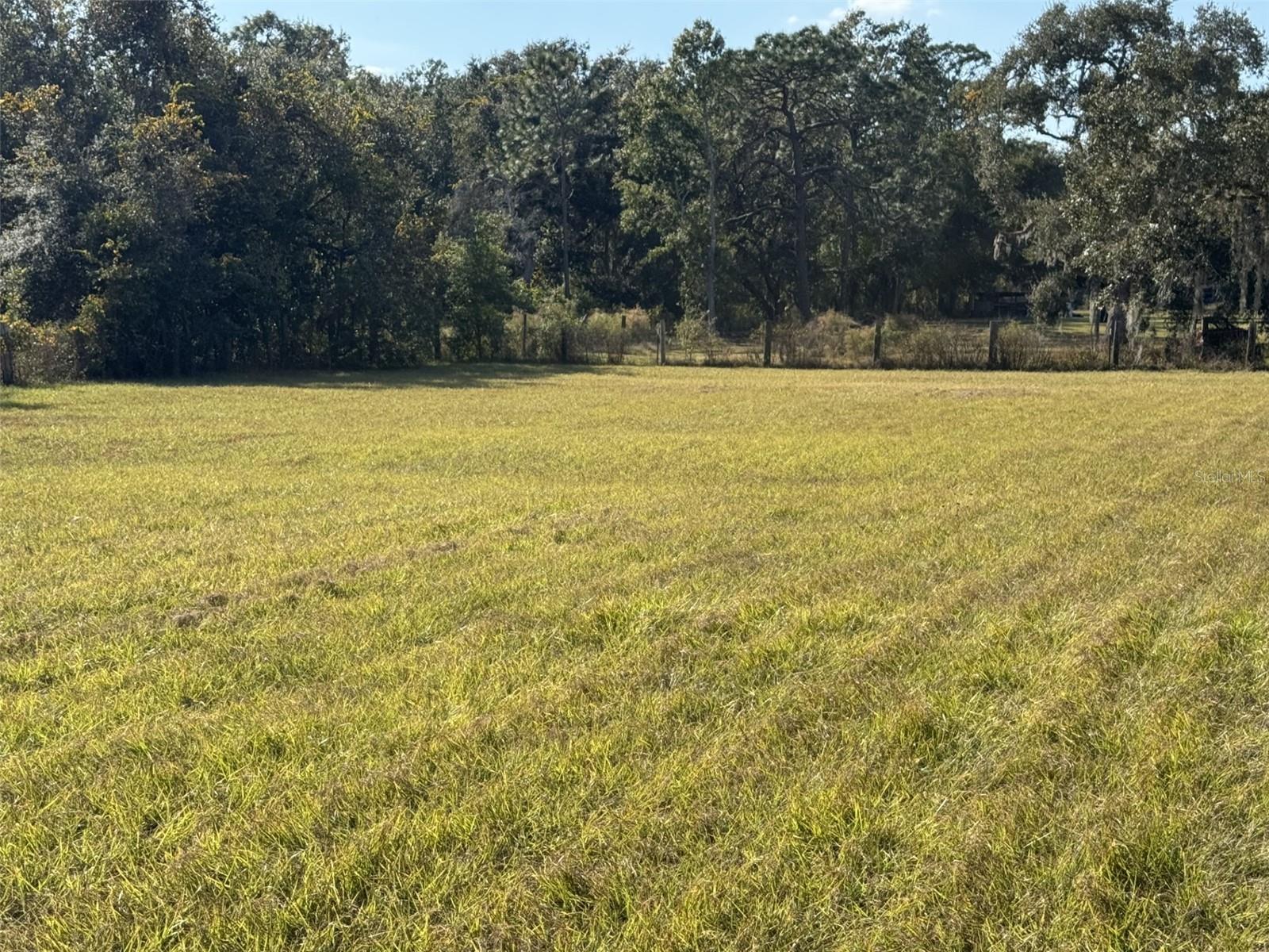 ZEPHYRHILLS COLONY COMPANY LANDS - Residential