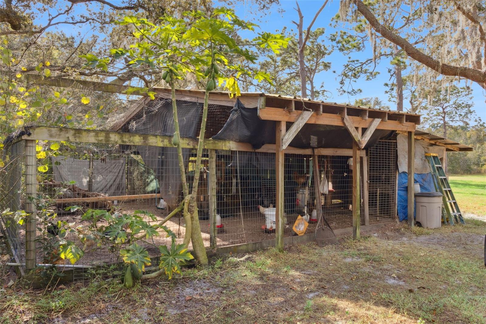 ZEPHYRHILLS COLONY COMPANY LANDS - Residential