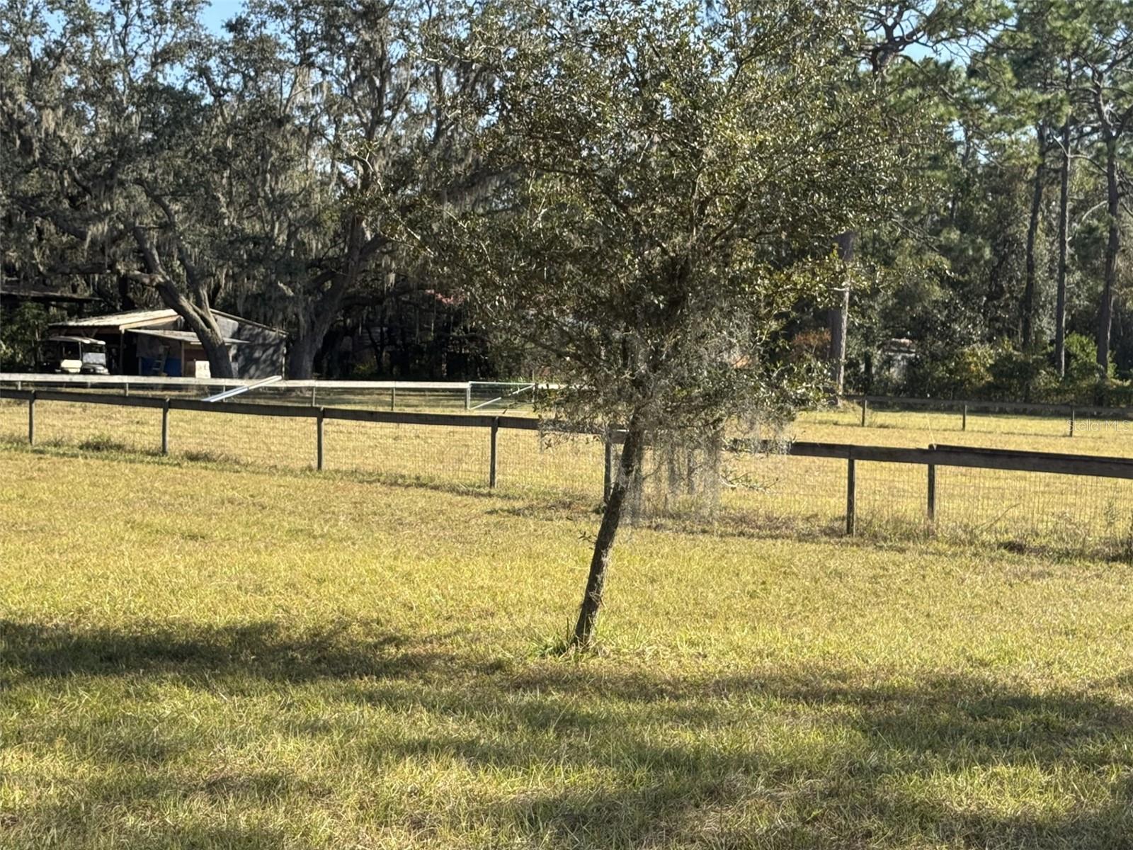 ZEPHYRHILLS COLONY COMPANY LANDS - Residential