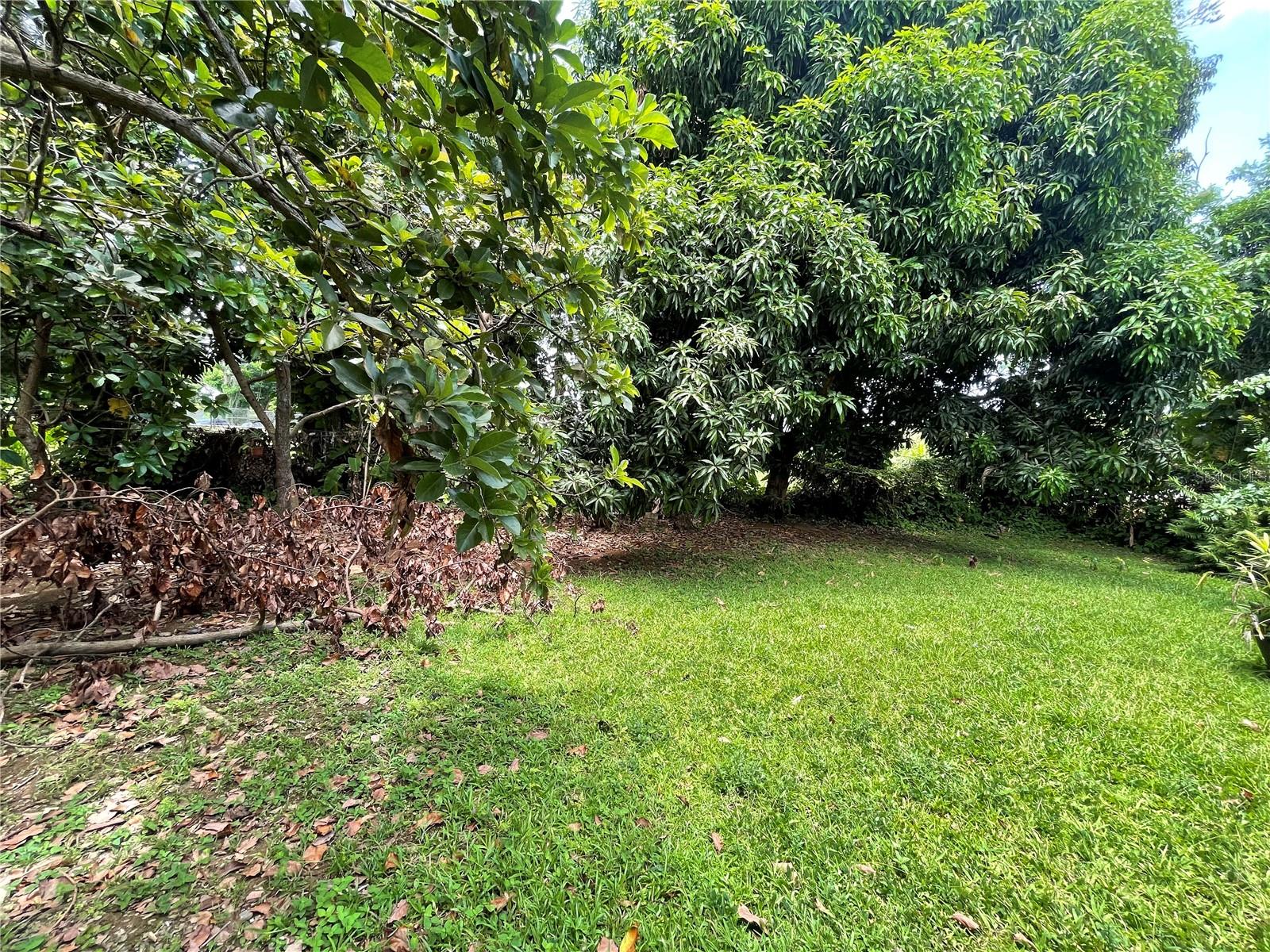 SAUCO ST., SANTA MARIA DEV - Residential