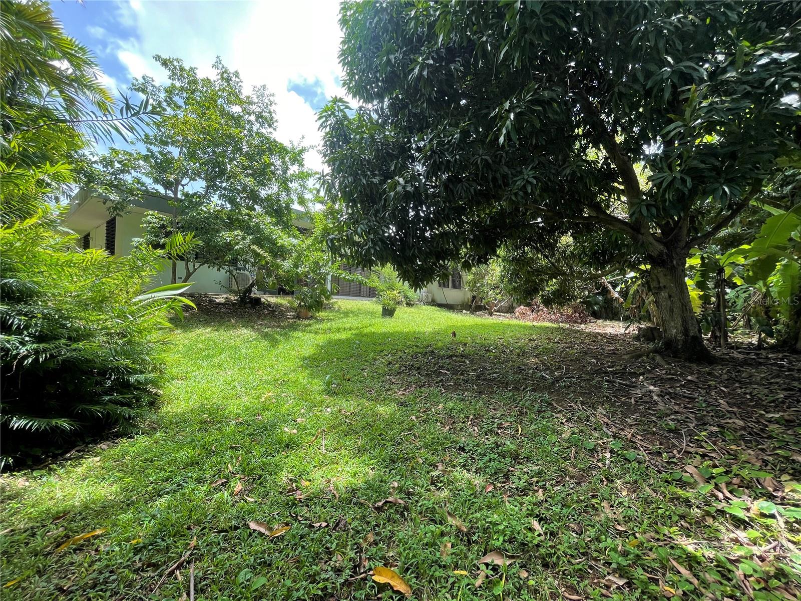 SAUCO ST., SANTA MARIA DEV - Residential