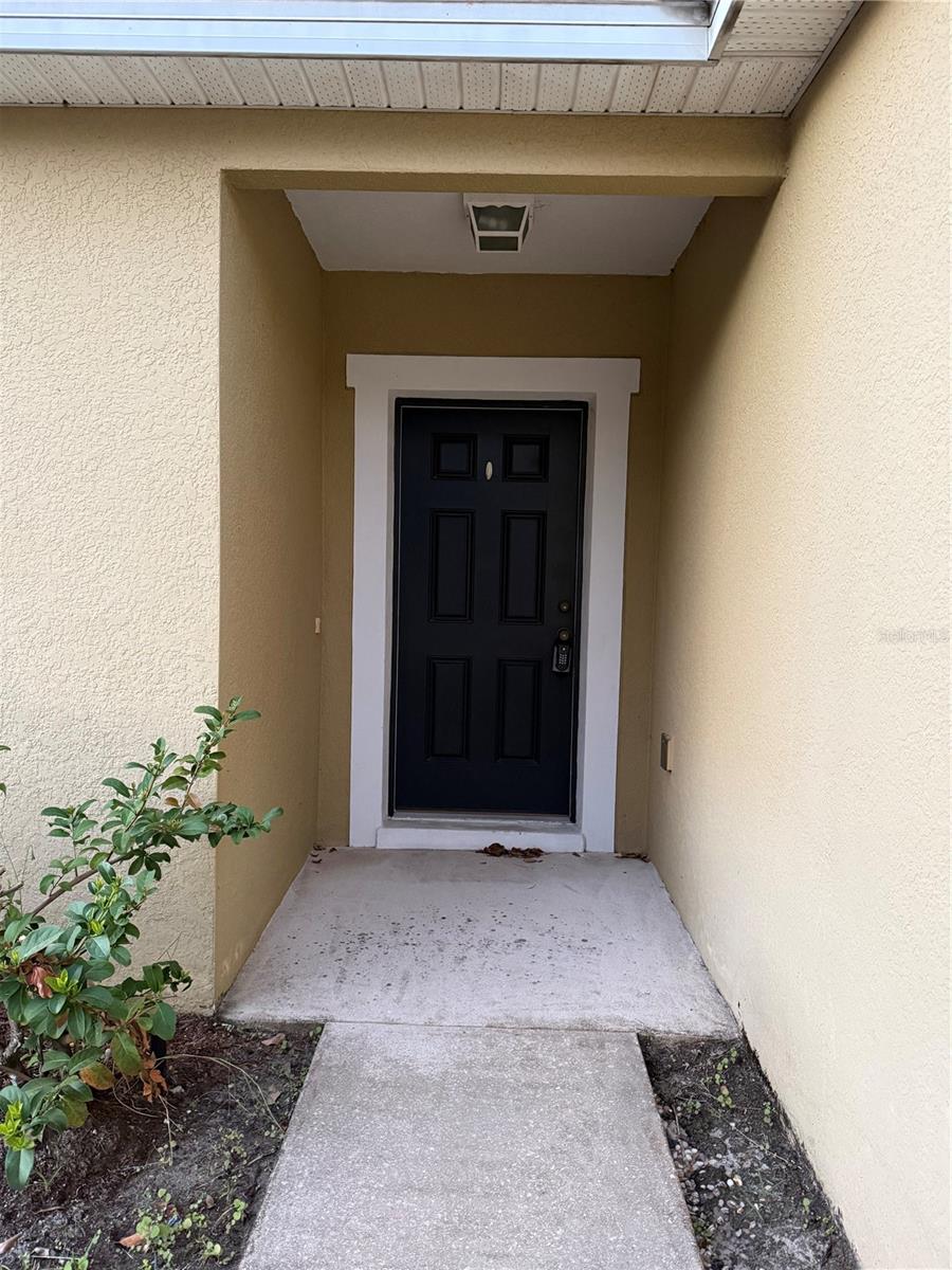 RAINTREE AT SPRINGLAKE VLG PH 1B - Residential