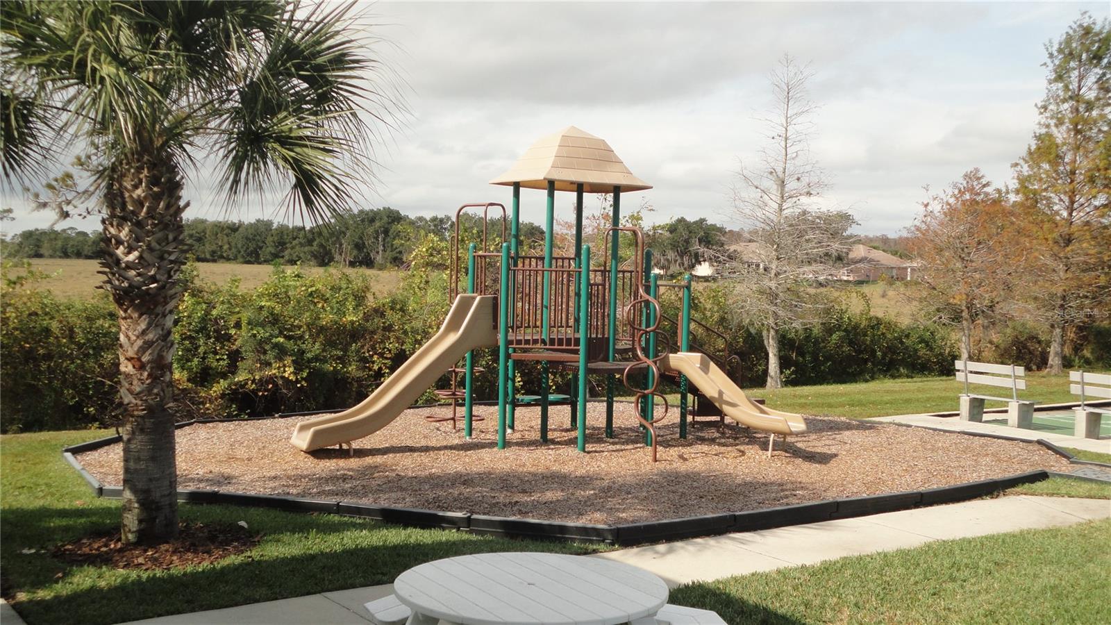 RAINTREE AT SPRINGLAKE VLG PH 1B - Residential