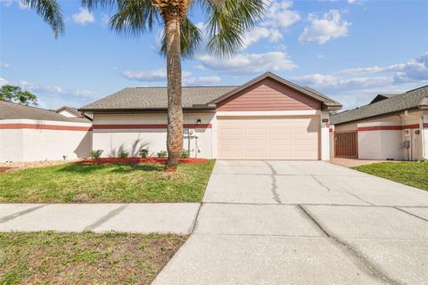 7004 WESTMINSTER STREET TAMPA FL 33635