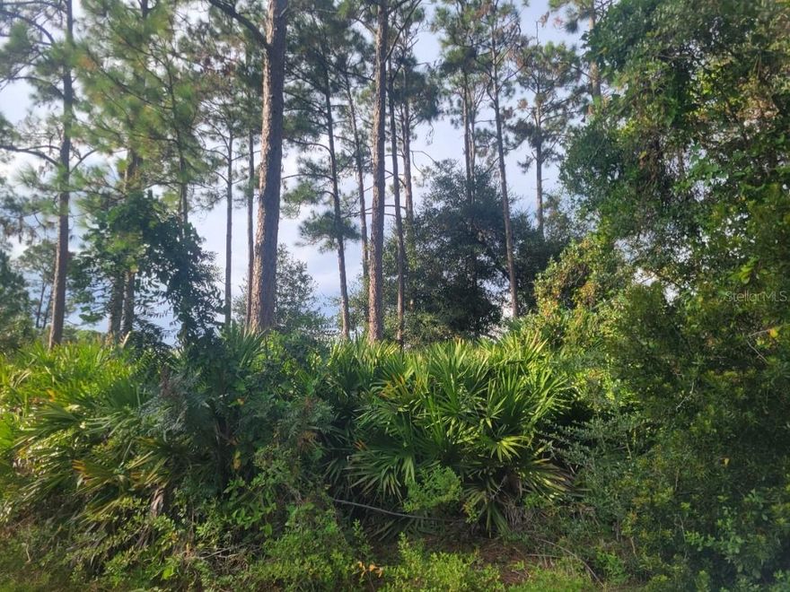 Discover the perfect opportunity to own land in the heart of Hastings, Florida! This vacant lot offers a blank canvas to bring your vision to life—whether you’re planning to build your dream home, place a manufactured home, or invest for the future. Property is located on a paved road so you can Enjoy the peaceful charm of small-town living while still being within easy driving distance to St. Augustine, Palatka, and the beautiful beaches of Northeast Florida.

Surrounded by open skies and natural Florida scenery, this property provides a quiet setting with plenty of room to design the lifestyle you want. Hastings is known for its agricultural roots, friendly community, and relaxed pace, making it an ideal spot for those seeking space and privacy without sacrificing convenience. Don’t miss this affordable chance to own a piece of Florida land and create something truly your own.