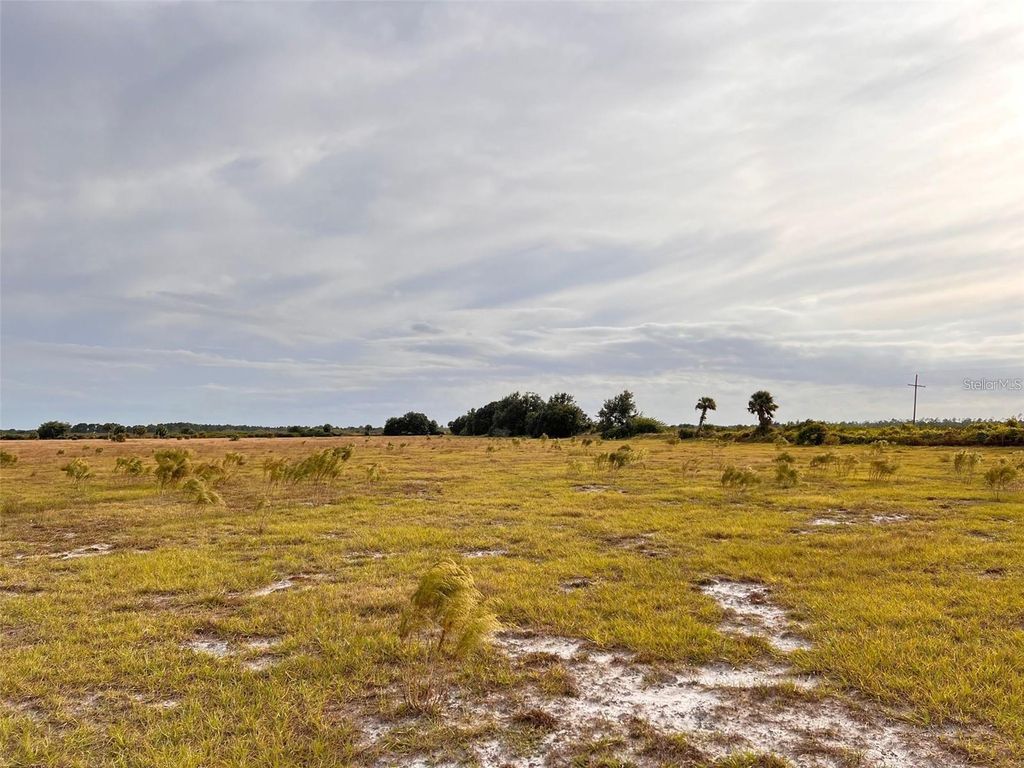 Photo of 47511 Neal Road, Punta Gorda, FL 33982 (MLS # C7500669)