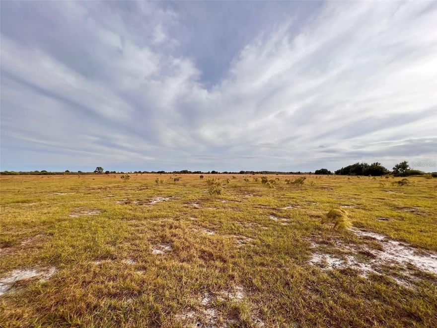 Discover 40 acres of fenced agricultural land perfectly situated just north of the rapidly growing Babcock Ranch. This expansive property offers endless possibilities—build your dream home, establish a working farm, or create a private retreat for recreation and horseback riding. Enjoy the best of country living with the privacy you desire, all while being conveniently located near Punta Gorda, Arcadia, Fort Myers, and Babcock Ranch. With easy access to two nearby airports—Punta Gorda and Southwest Florida International—this prime location combines tranquility with connectivity. Whether you're ready to build today or invest in a promising future, now is the perfect time to make this exceptional property yours.