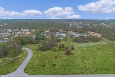 1405 HILLSBOROUGH DRIVE POINCIANA FL 34759