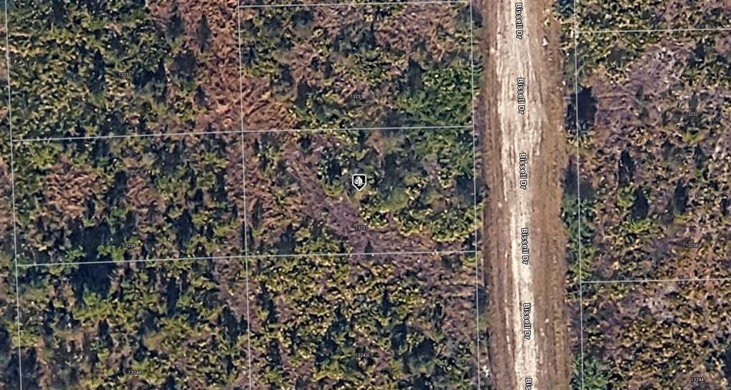 Photo of 13237 Bissell Drive, Punta Gorda, FL 33955 (MLS # A4693168)