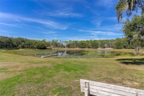Tiny photo for 42645 W Altoona Road, Altoona, FL 32702 (MLS # G5104052)
