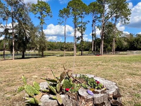 Tiny photo for 42645 W Altoona Road, Altoona, FL 32702 (MLS # G5104052)