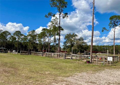 Tiny photo for 42645 W Altoona Road, Altoona, FL 32702 (MLS # G5104052)
