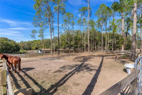 Tiny photo for 42645 W Altoona Road, Altoona, FL 32702 (MLS # G5104052)