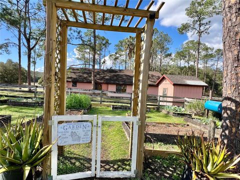 Tiny photo for 42645 W Altoona Road, Altoona, FL 32702 (MLS # G5104052)