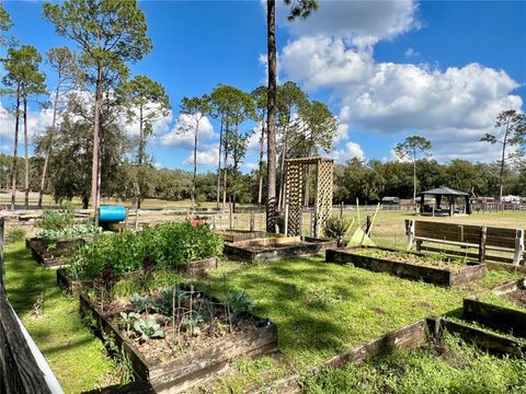 Tiny photo for 42645 W Altoona Road, Altoona, FL 32702 (MLS # G5104052)
