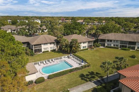 A home in SARASOTA