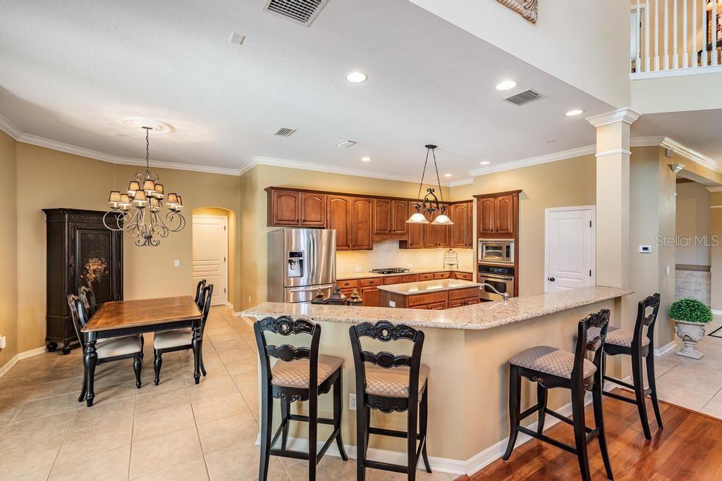 14677 CANOPY DRIVE