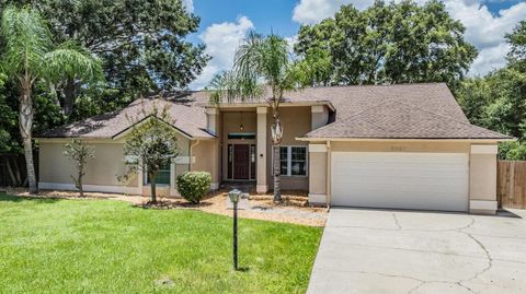 A home in VALRICO