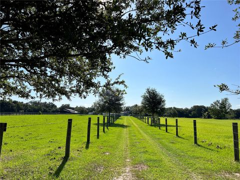 15353 S 475 SUMMERFIELD FL 34491