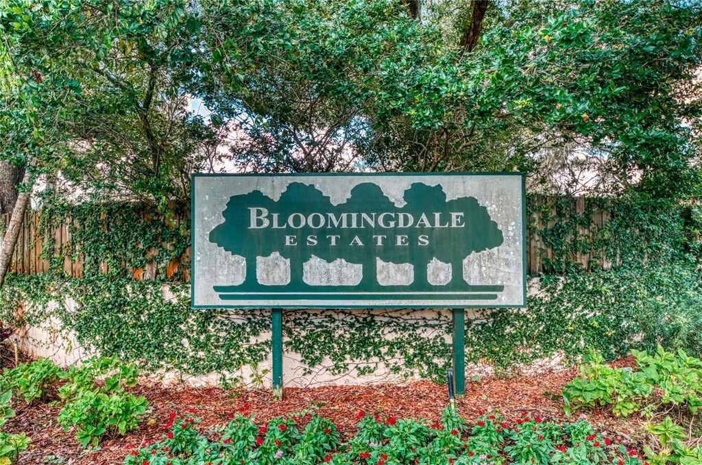 Photo of 3909 Applegate Circle, Brandon, FL 33511 (MLS # TB8496099)