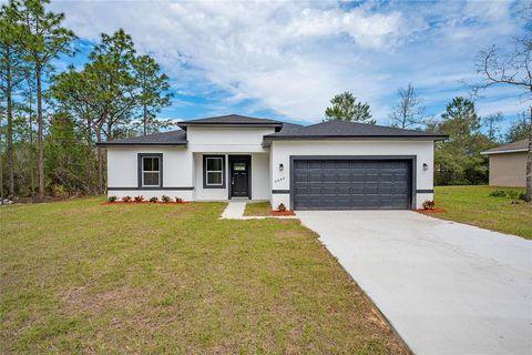 6660 N WATERMAN DRIVE DUNNELLON FL 34433