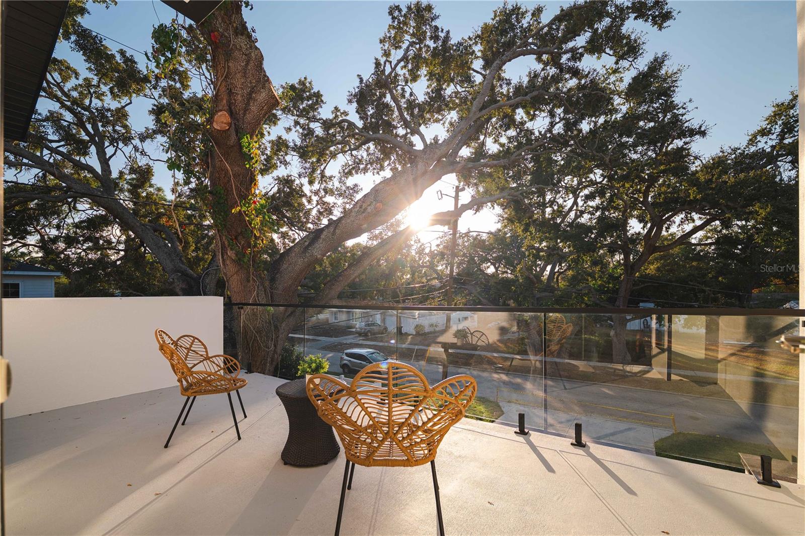 JUNGLE TERRACE SEC D - Residential