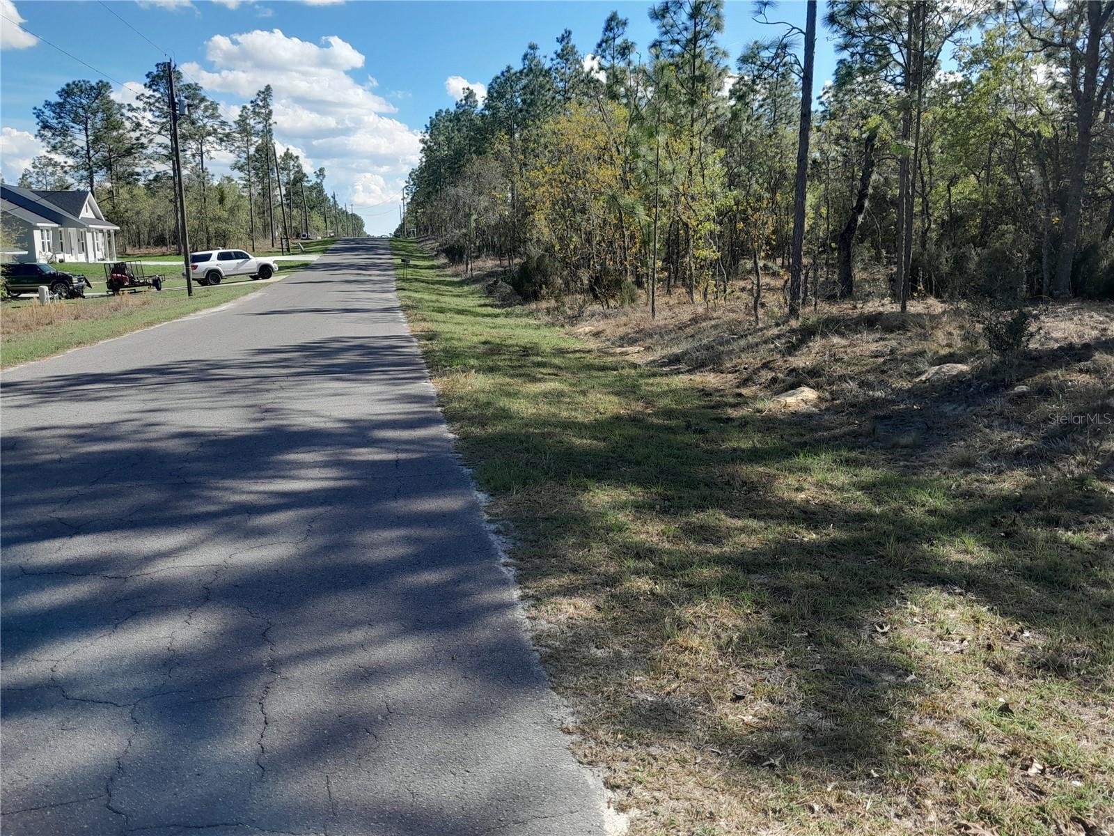 BEAUTIFUL PINE TREES ON PAVED ROAD!! Looking for a serene spot to build your dream home. This lot is perfect for you! Located just 10 minutes from Williston, this property measures about 80' x 125' and offers plenty of space. No HOA and no flood zone. High & dry and flat lot.
Explore the beauty of Levy County, known for its outdoor activities such as fishing, hunting, and swimming in nearby springs, all within a 30-minute drive. Situated conveniently between Ocala and Gainesville, this lot is priced to sell. Don’t wait too long—this piece of country paradise won't last! Come see it today!
