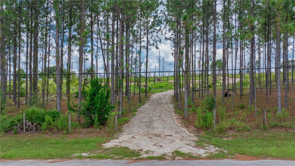 Photo of 13070 Crowell Road, Brooksville, FL 34613 (MLS # TB8487548)