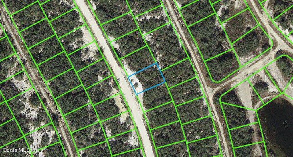 Photo of 217 Hopedale Drive, Lake Placid, FL 33852 (MLS # OM542091)