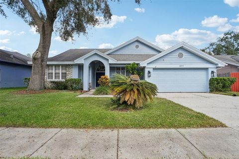 A home in PALM HARBOR