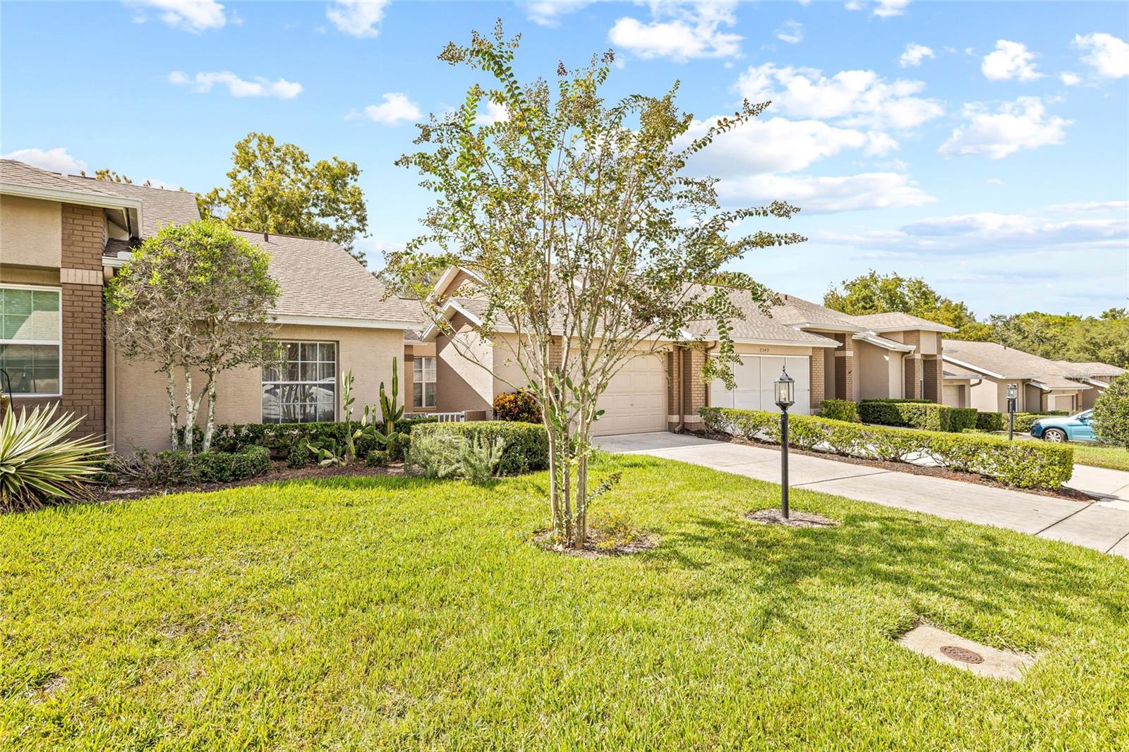 TIMBER PINES - Residential