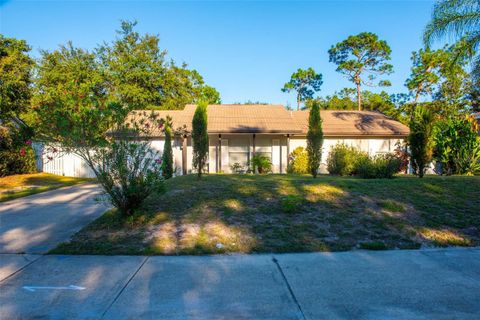 A home in DELTONA