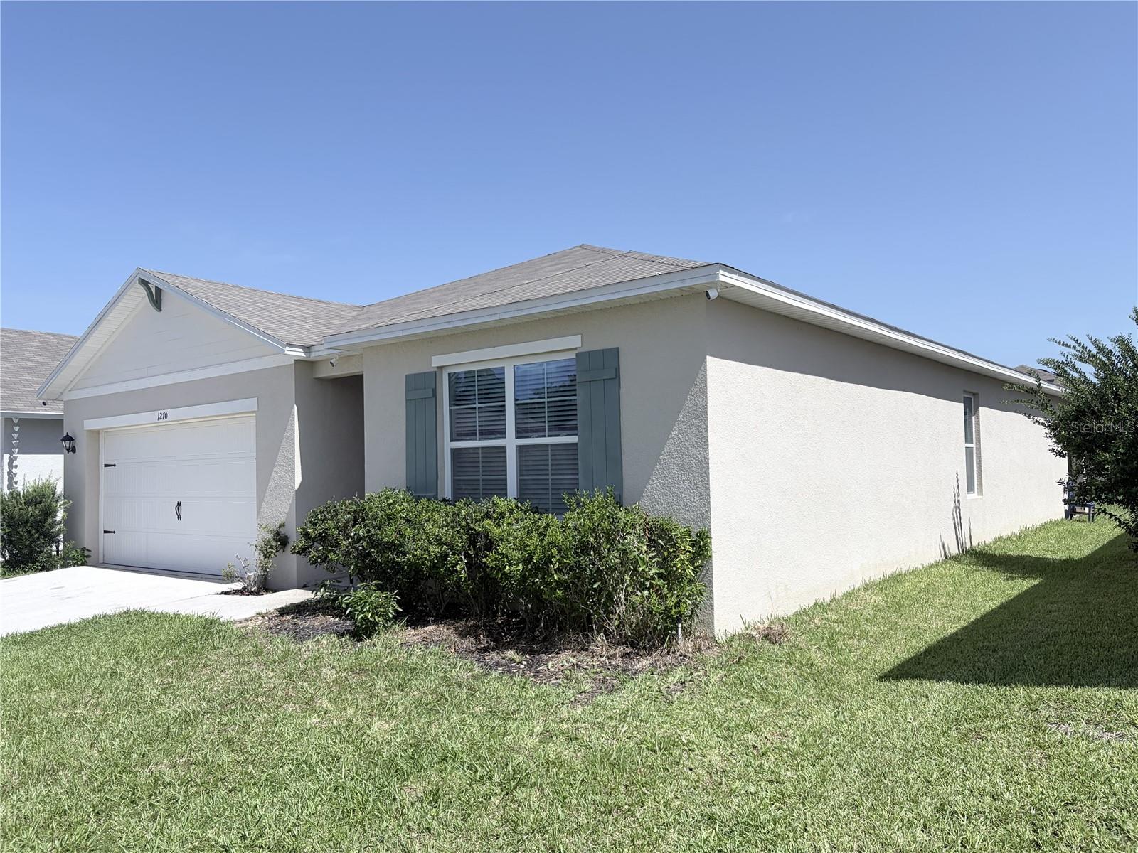 1270 IGUANA LOOP